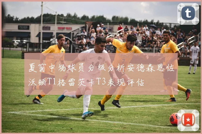 夏窗中场球员分级分析安德森恩佐沃顿T1格雷茨卡T3表现评估