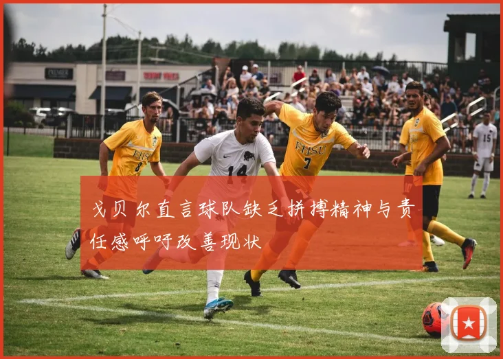 戈贝尔直言球队缺乏拼搏精神与责任感呼吁改善现状